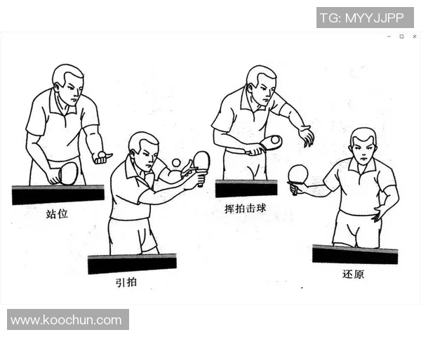 上海乒乓球队的战术演变与转换体系解析 上海乒乓球队的战术演变与转换体系解析