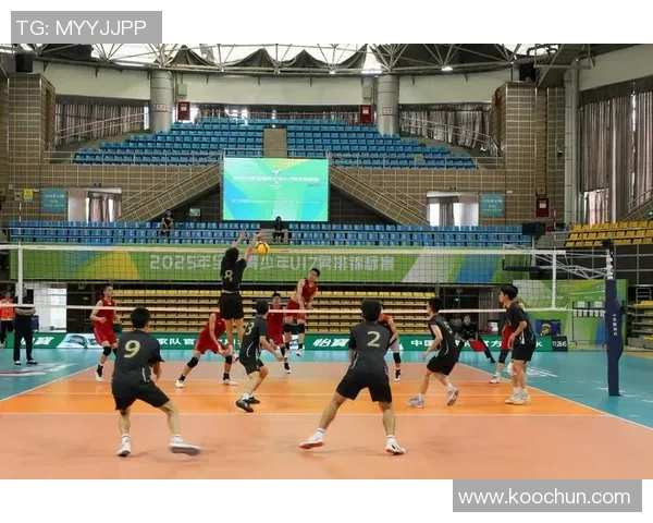 全国锦标赛回顾：上海排球队默契配合展现团队精神与竞技水平